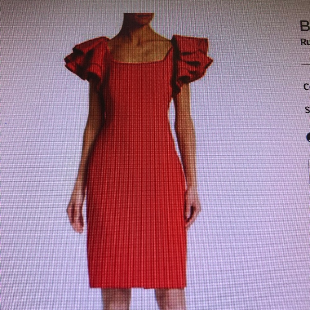 Badgley Mischka Dress